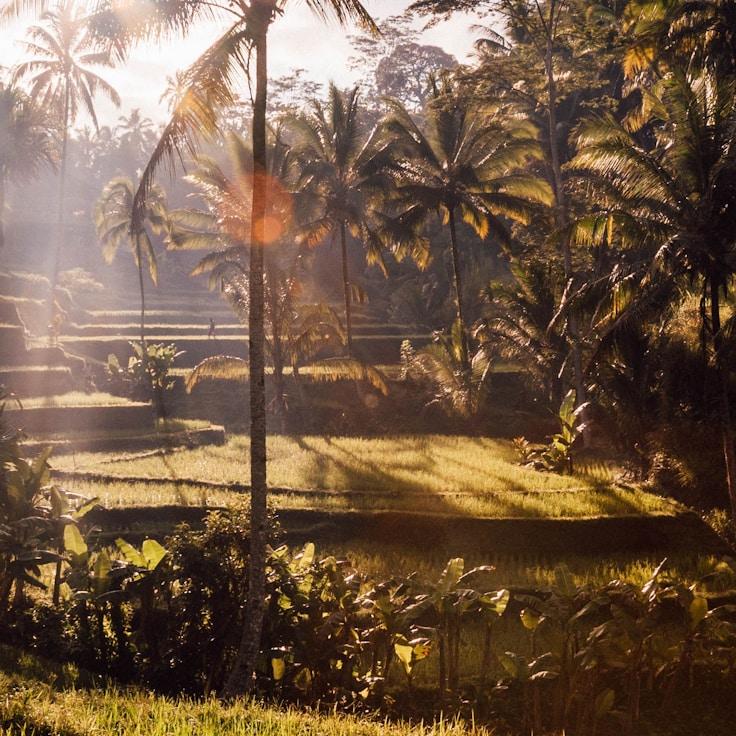 Family terraces and cafés for calm evenings in Lisbon